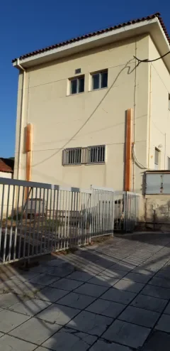 ΑΡΑΧΩΒΙΤΙΚΑ
